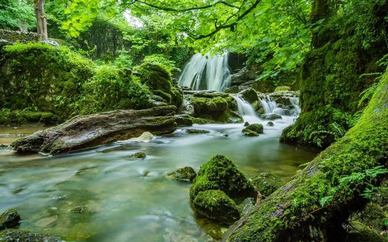 高效稳定性自动化